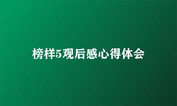 榜样5观后感心得体会