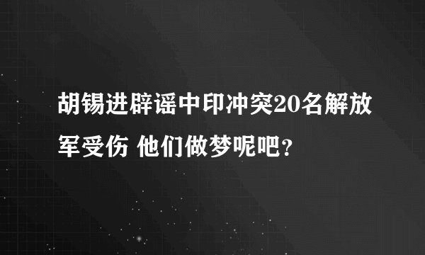 胡锡进辟谣中印冲突20名解放军受伤 他们做梦呢吧？