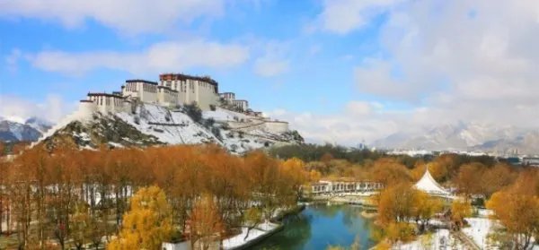 2021年藏历新年是哪一年？？？