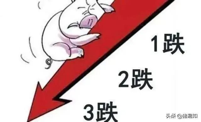 猪价全面暴跌！猪肉降入20元时代，10元猪肉还远吗？