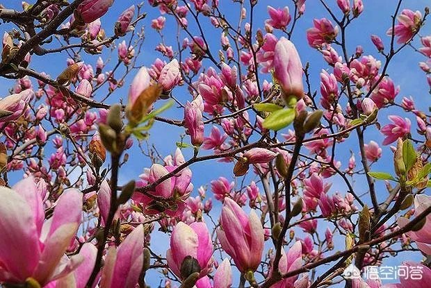 如何拍出锐利照片？