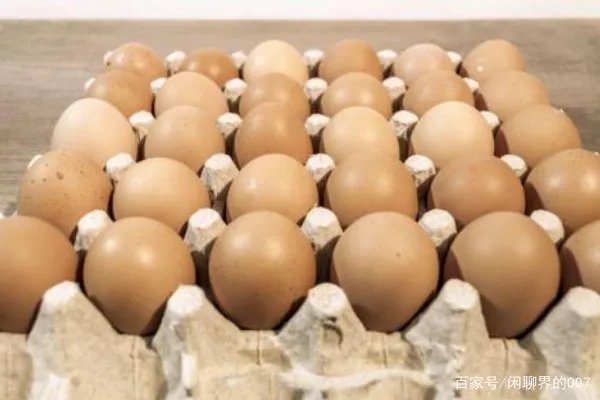 鸡蛋价格“塌方式下跌”，年前还会涨吗？