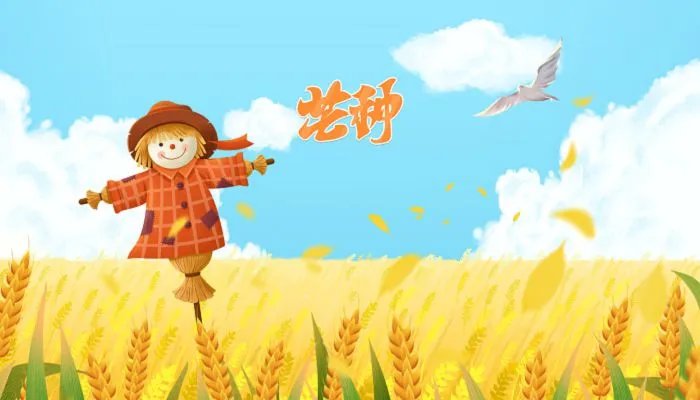 2023芒种是什么时候 2023年芒种是哪天