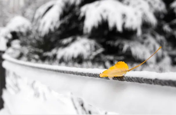 2020三九天时间表 2020年三九是哪天