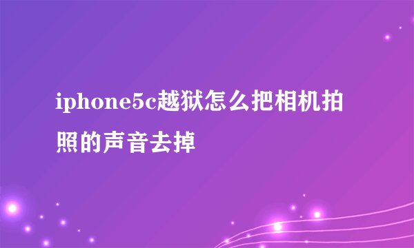 iphone5c越狱怎么把相机拍照的声音去掉