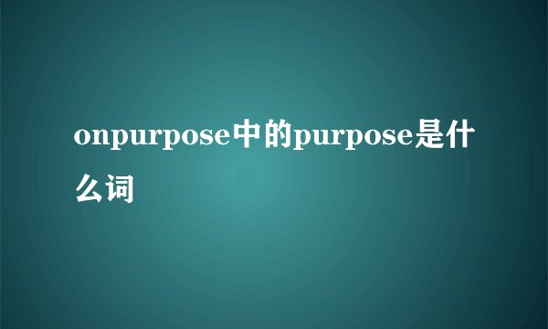 onpurpose中的purpose是什么词