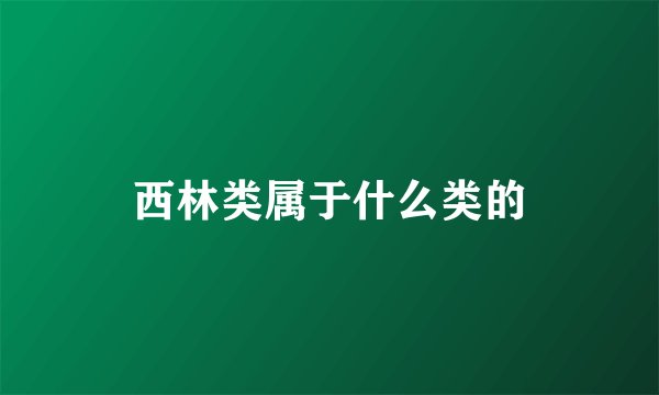 西林类属于什么类的