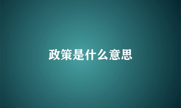 政策是什么意思