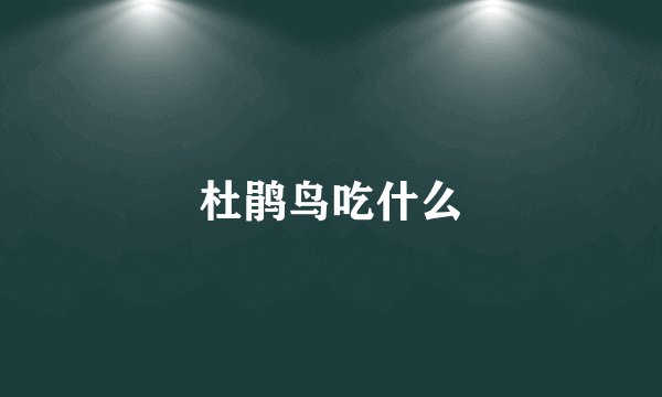 杜鹃鸟吃什么
