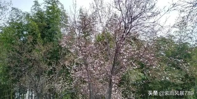 在这个三八妇女节，你对心中的女神最想说什么话？