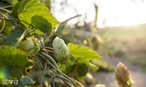 2020国庆71周年经典祝贺词_祖国71周年华诞祝福语精选100句