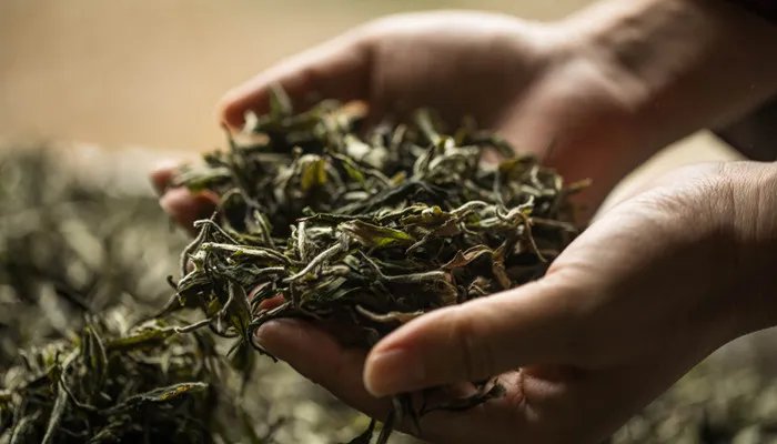 茶叶上市公司龙头股 茶叶上市公司龙头股是