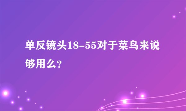 单反镜头18-55对于菜鸟来说够用么？