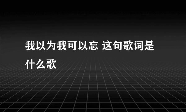 我以为我可以忘 这句歌词是什么歌