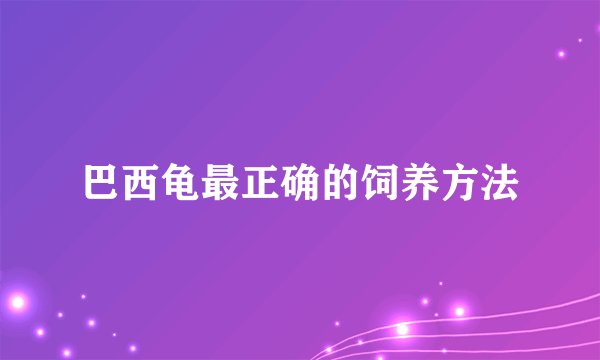 巴西龟最正确的饲养方法