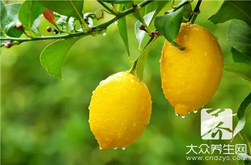  柠檬片泡水能减肥吗