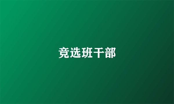 竞选班干部