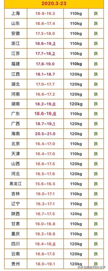 猪价全面暴跌！猪肉降入20元时代，10元猪肉还远吗？