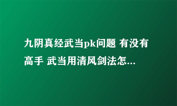 九阴真经武当pk问题 有没有高手 武当用清风剑法怎么pk才牛