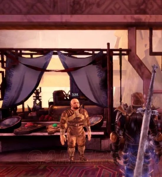 《龙腾世纪起源》后宫攻略 三后宫流程攻略