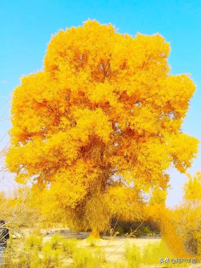 一个人连续开车500公里以上是一种怎样的体验？