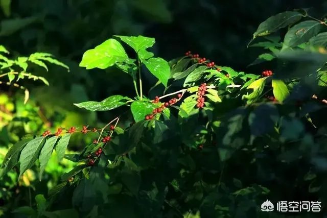 你有哪些喜欢的句子想要分享吗？