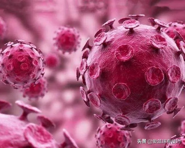 戈贝尔和米切尔痊愈小