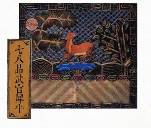 清代官服的等级区别