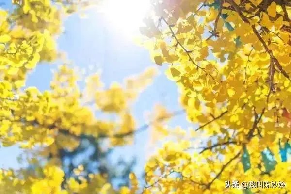 有一首歌深深的打动了自己，自己怎样演唱这首歌曲，才能同样打动别人啊？