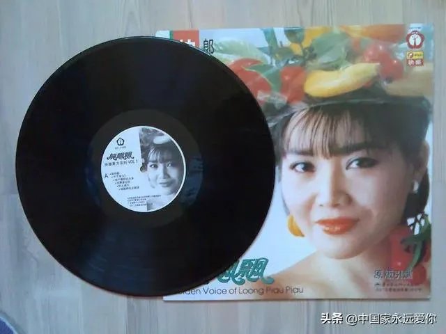 龙飘飘经典老歌50首