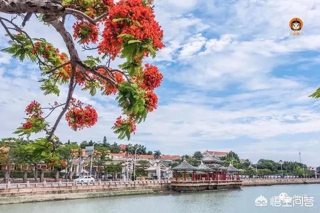 外地游客去厦门集美有什么好吃好玩的可以推荐？