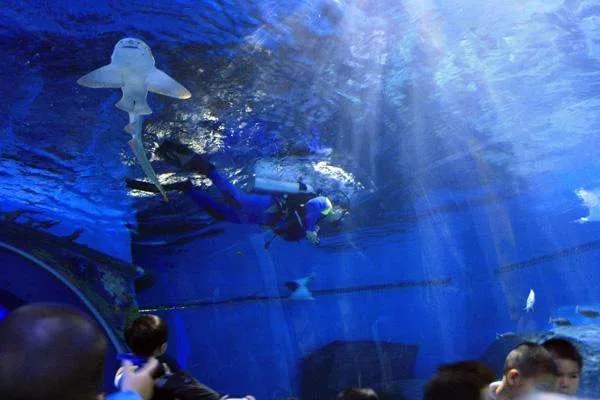 郑州两个海洋馆哪个好