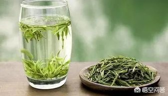 如何辨别信阳毛尖新茶？