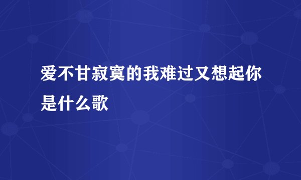 爱不甘寂寞的我难过又想起你是什么歌