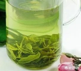 如何辨别信阳毛尖新茶？