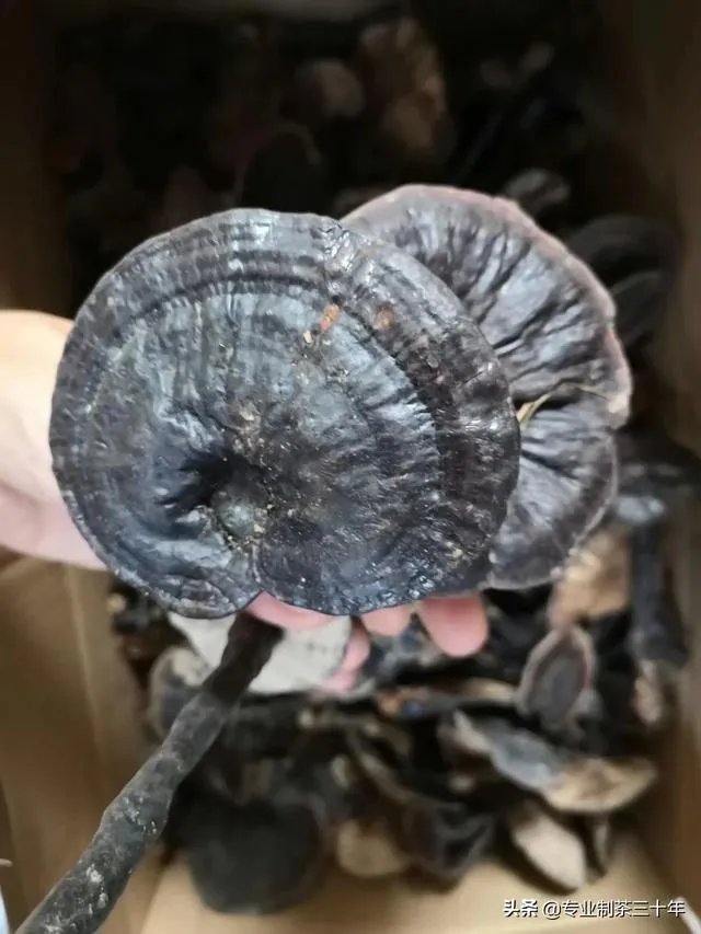 龙岩和三明的房地产市场谁更有潜力？