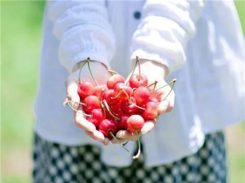 崩坏了的西游世界小说主角张彪在线阅读