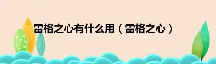 雷格之心有什么用（雷格之心）
