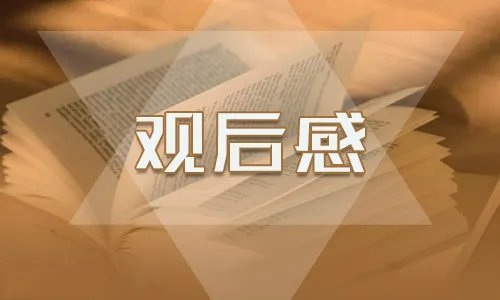 从小学先锋,长大做先锋观后感五篇最新