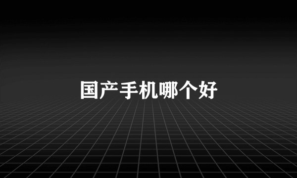国产手机哪个好