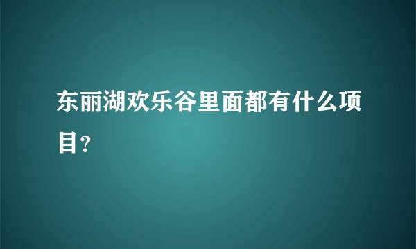 东丽湖欢乐谷里面都有什么项目？