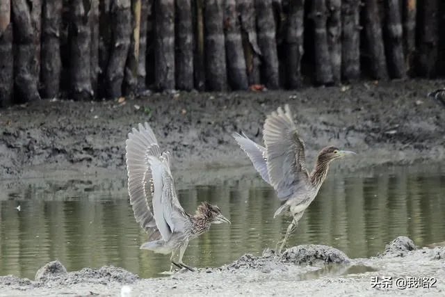 广州流花湖公园好玩嘛？