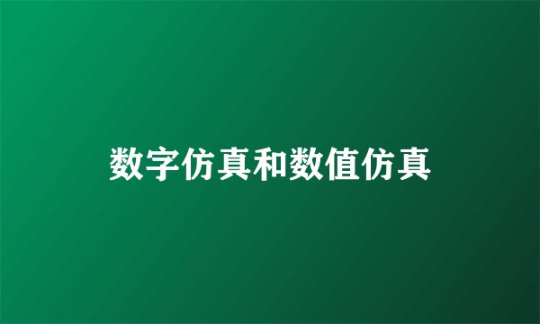 数字仿真和数值仿真