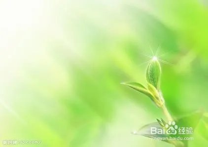 如何保存网页图片