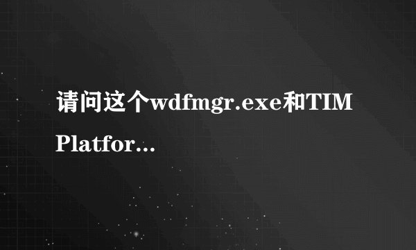 请问这个wdfmgr.exe和TIMPlatform.exe是什么?在进程里出现的.