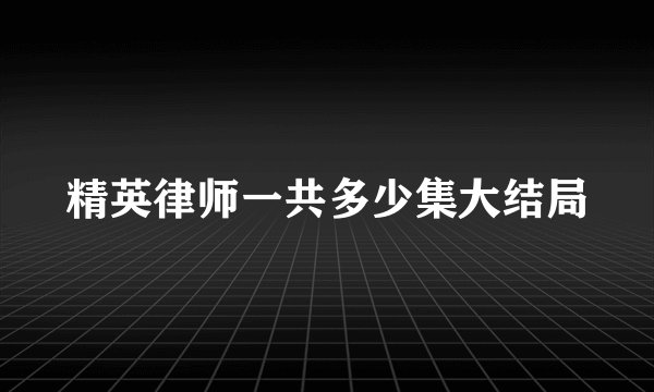 精英律师一共多少集大结局