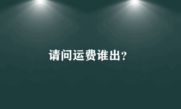 请问运费谁出？