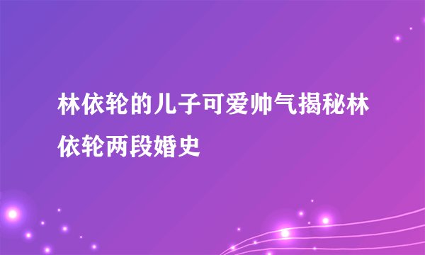 林依轮的儿子可爱帅气揭秘林依轮两段婚史