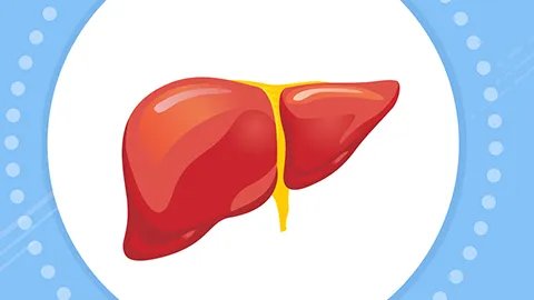 肝吸虫治疗的方法