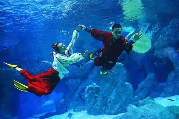 郑州两个海洋馆哪个好